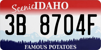 ID license plate 3B8704F
