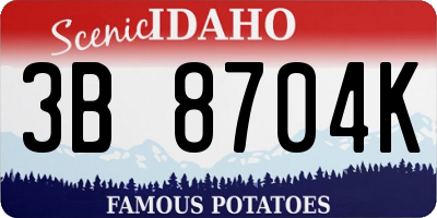 ID license plate 3B8704K