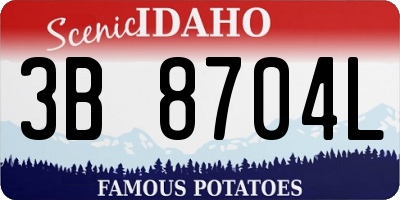 ID license plate 3B8704L