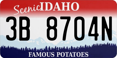 ID license plate 3B8704N