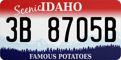 ID license plate 3B8705B