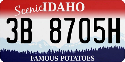ID license plate 3B8705H
