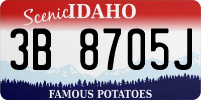 ID license plate 3B8705J
