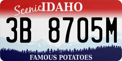 ID license plate 3B8705M