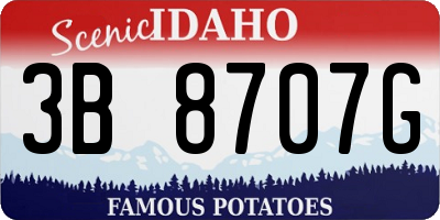 ID license plate 3B8707G
