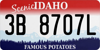 ID license plate 3B8707L