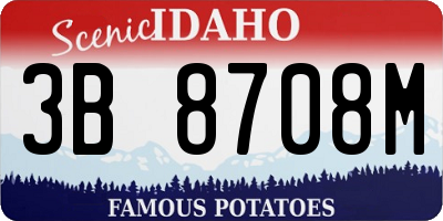 ID license plate 3B8708M