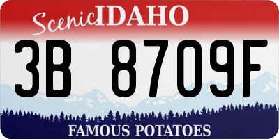 ID license plate 3B8709F