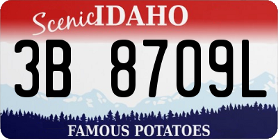 ID license plate 3B8709L