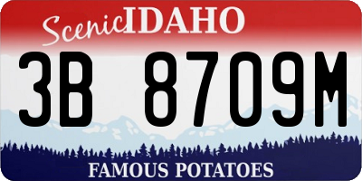 ID license plate 3B8709M