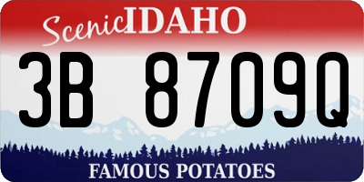 ID license plate 3B8709Q