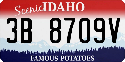 ID license plate 3B8709V