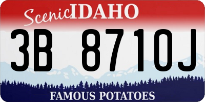 ID license plate 3B8710J
