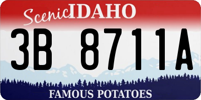 ID license plate 3B8711A