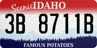 ID license plate 3B8711B