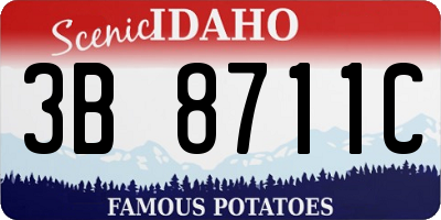 ID license plate 3B8711C