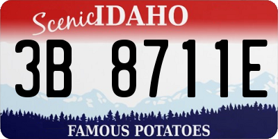ID license plate 3B8711E