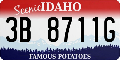 ID license plate 3B8711G