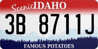 ID license plate 3B8711J