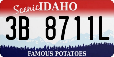 ID license plate 3B8711L