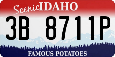 ID license plate 3B8711P