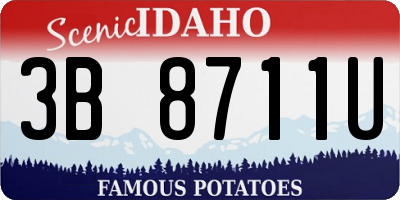 ID license plate 3B8711U