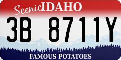 ID license plate 3B8711Y