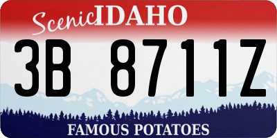 ID license plate 3B8711Z