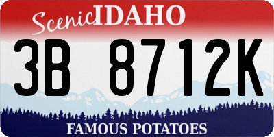 ID license plate 3B8712K