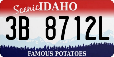 ID license plate 3B8712L
