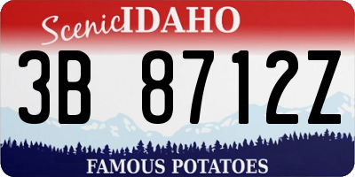ID license plate 3B8712Z