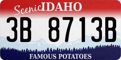 ID license plate 3B8713B