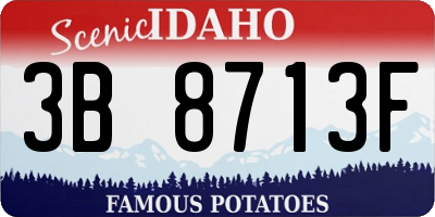 ID license plate 3B8713F