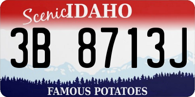 ID license plate 3B8713J
