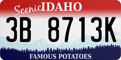 ID license plate 3B8713K