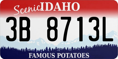 ID license plate 3B8713L