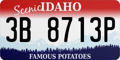 ID license plate 3B8713P