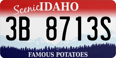 ID license plate 3B8713S