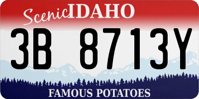 ID license plate 3B8713Y