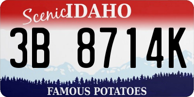 ID license plate 3B8714K