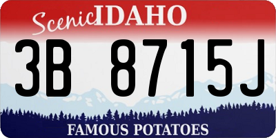 ID license plate 3B8715J