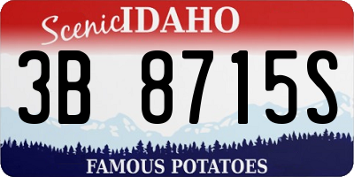 ID license plate 3B8715S