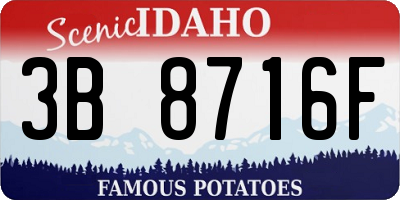 ID license plate 3B8716F