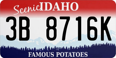 ID license plate 3B8716K