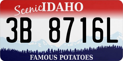 ID license plate 3B8716L