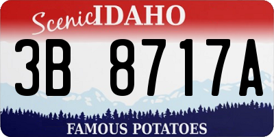 ID license plate 3B8717A