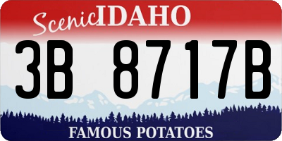 ID license plate 3B8717B