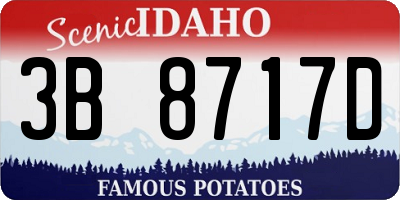 ID license plate 3B8717D