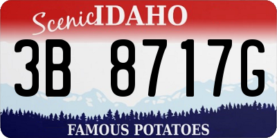 ID license plate 3B8717G