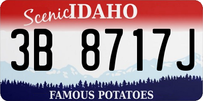 ID license plate 3B8717J